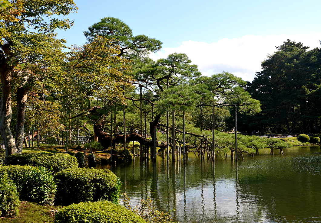 Kenrokuen Garden, - Kanazawa, Japan