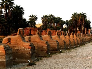 Avenue of the Sphinx - Karnak Temple