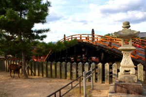 Miyajima bridge