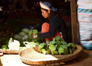 Village market, Siem Reap
