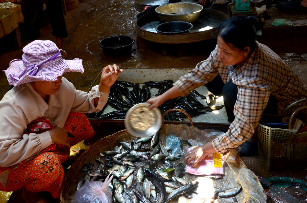 Village market, Siem Reap