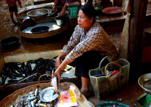Village market, Siem Reap