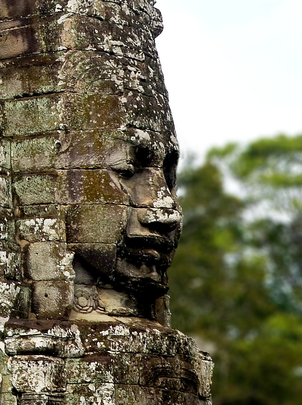 The Bayon face in profile