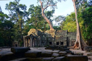 Ta Phrom - Ancestor Brahma Temple