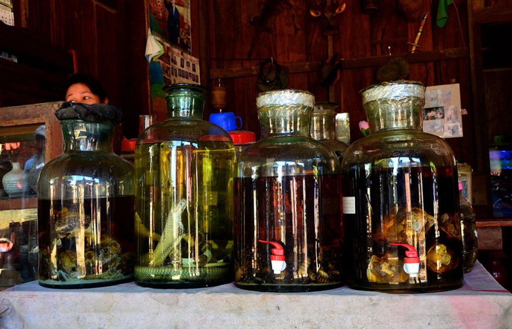 Snake Wine - Luang Prbang, Laos