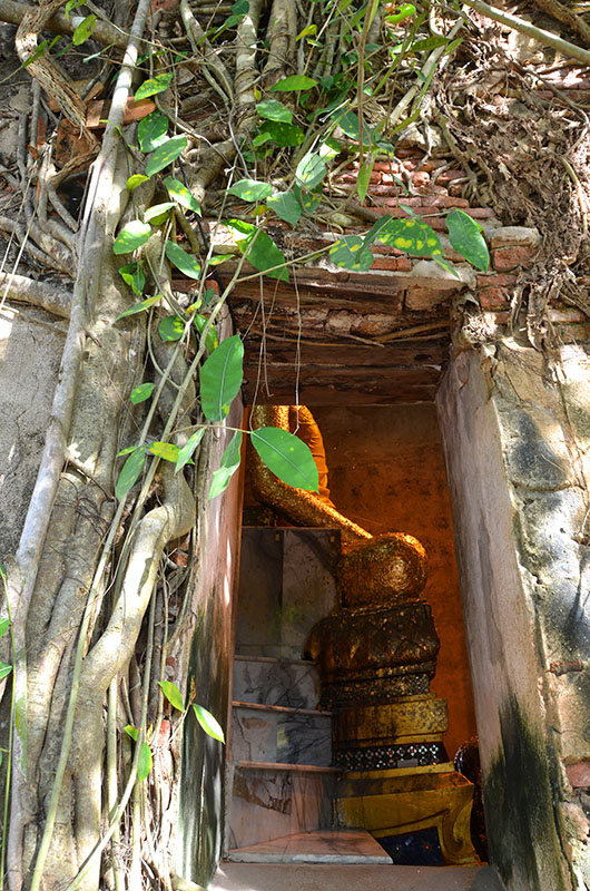 Budha - Wat Bang Kung - Bangkok