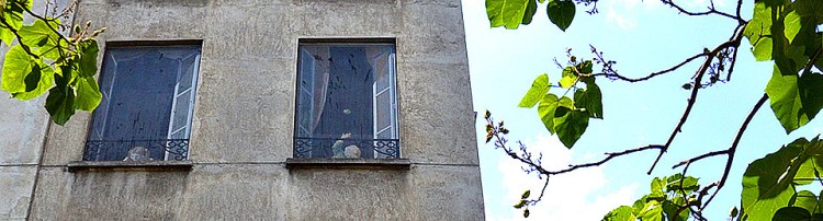 rompe l'oeil windows- Paris