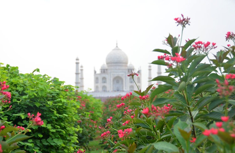 Taj Mahal, - Agra, India
