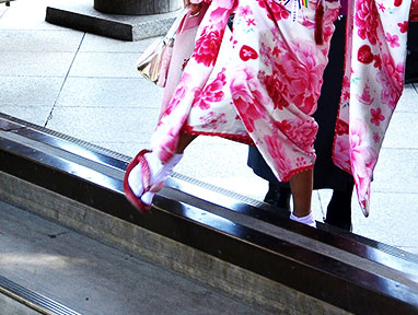 Threshold, meiji Jingu Shrine
