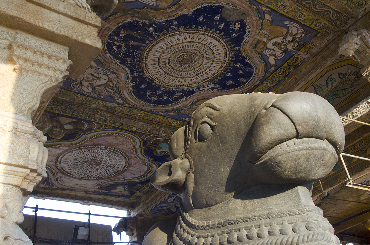 Roof of Nandi shrine with Maratha paintings - Brihadeeswarar Temple, Tanjavur