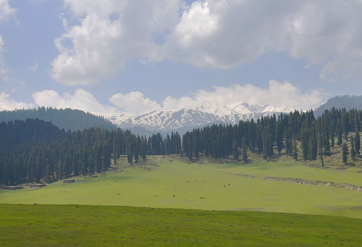 Dodhpathri, Kashmir