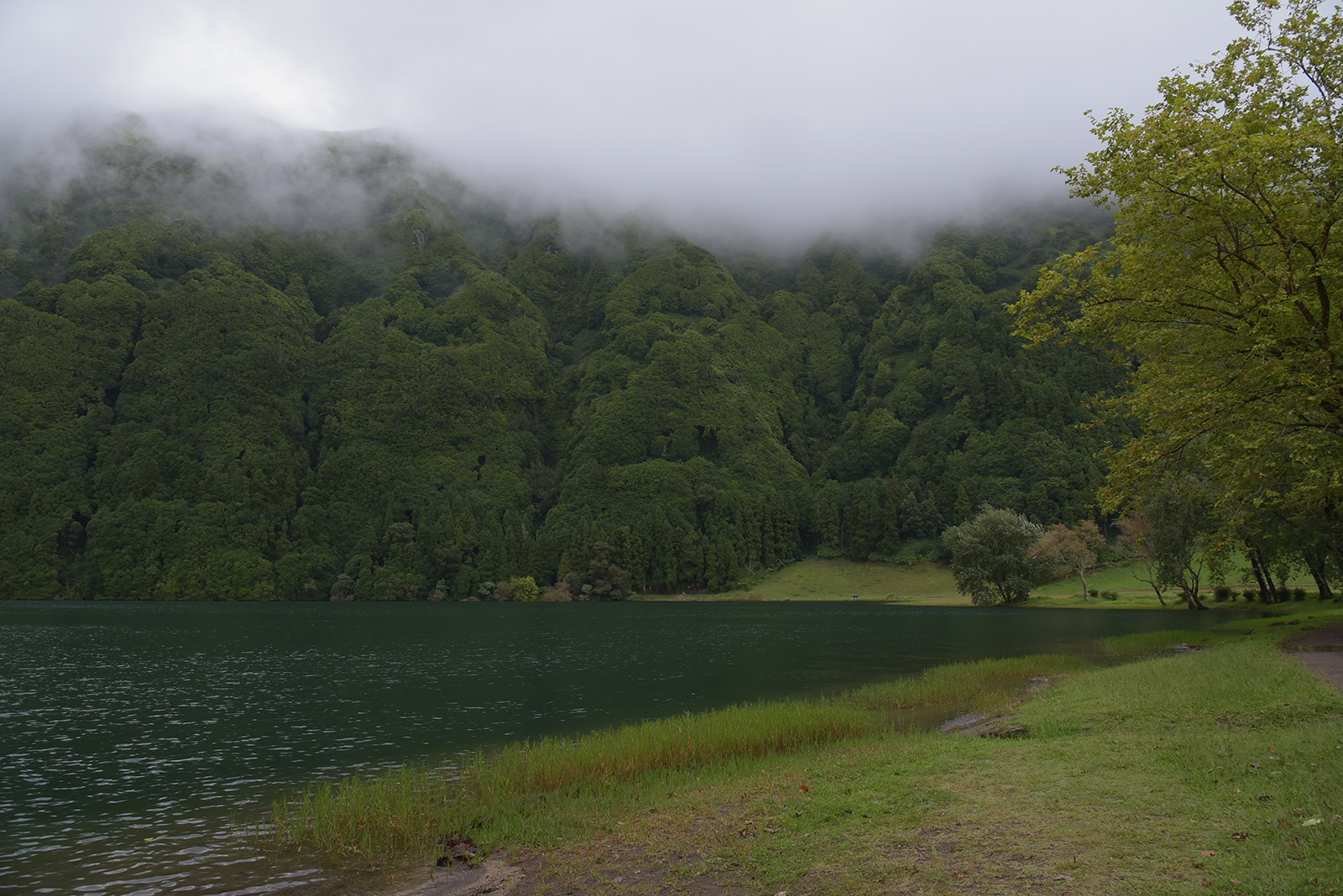 Lagoa Verde, Sao Miguel, Azores.