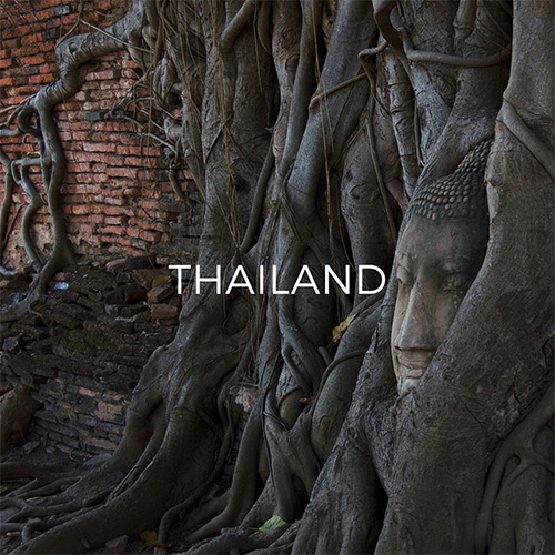Buddha head amid tree roots in Ayutthaya - Link to Thailand Guide