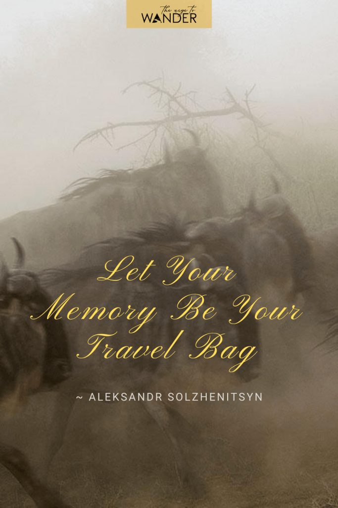 Looking for inspirational travel quotes? Here's a collection paired with my favourite travel photos sure to ignite wanderlust.
Image: Wildebeest herd kicking up dust in the Serengeti
#travelquotes #adventure, #exploring #travelinspiration